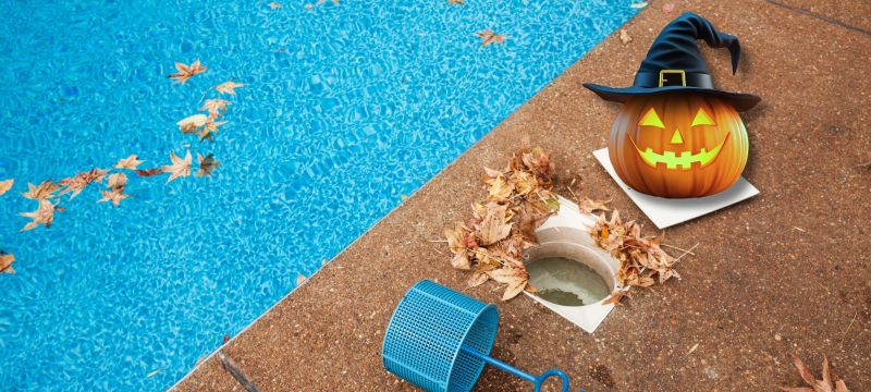 Acquablog Culligan Service Genova